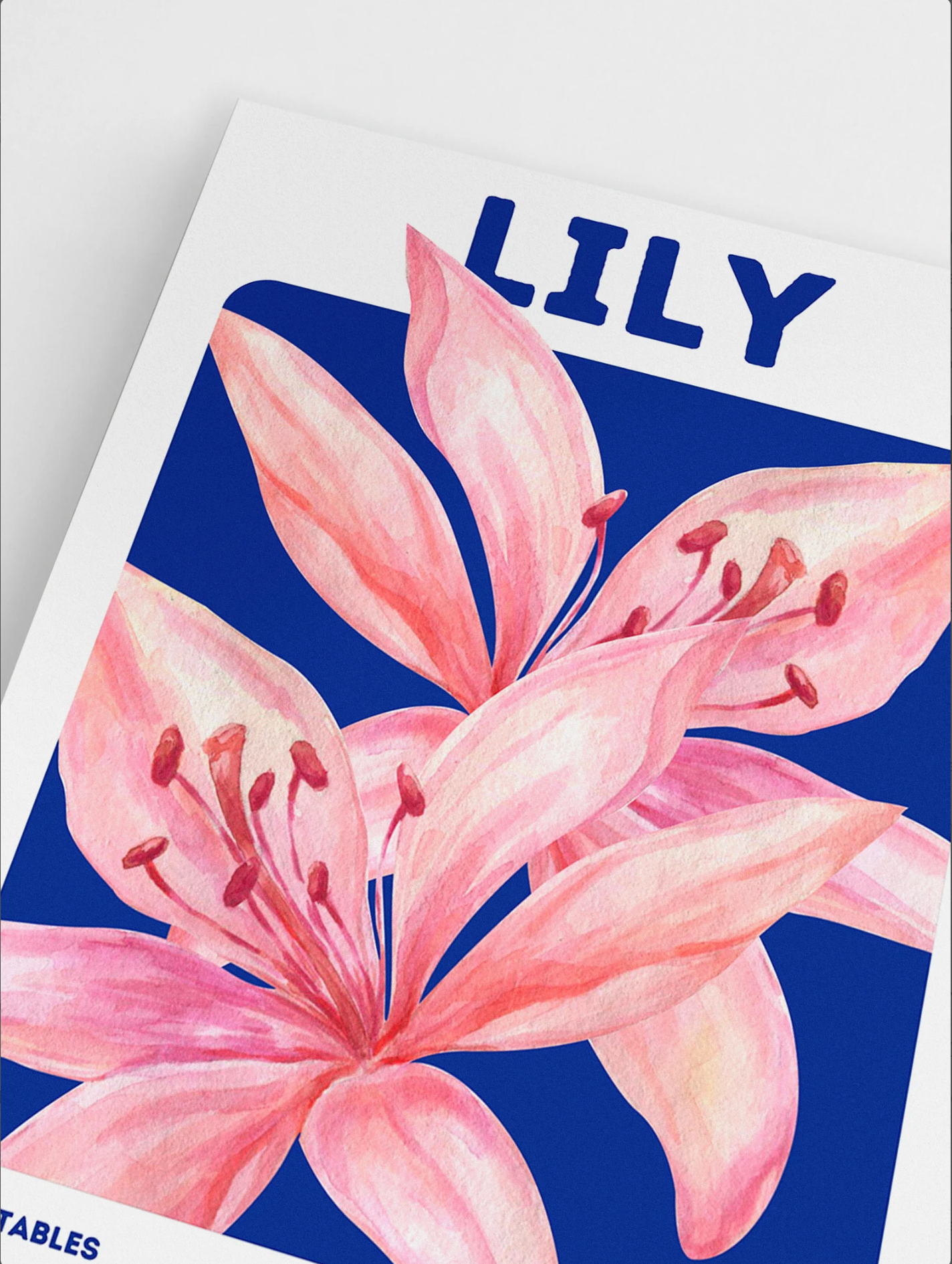 Lily Bloom: Elegant Pink Flower on Blue Background