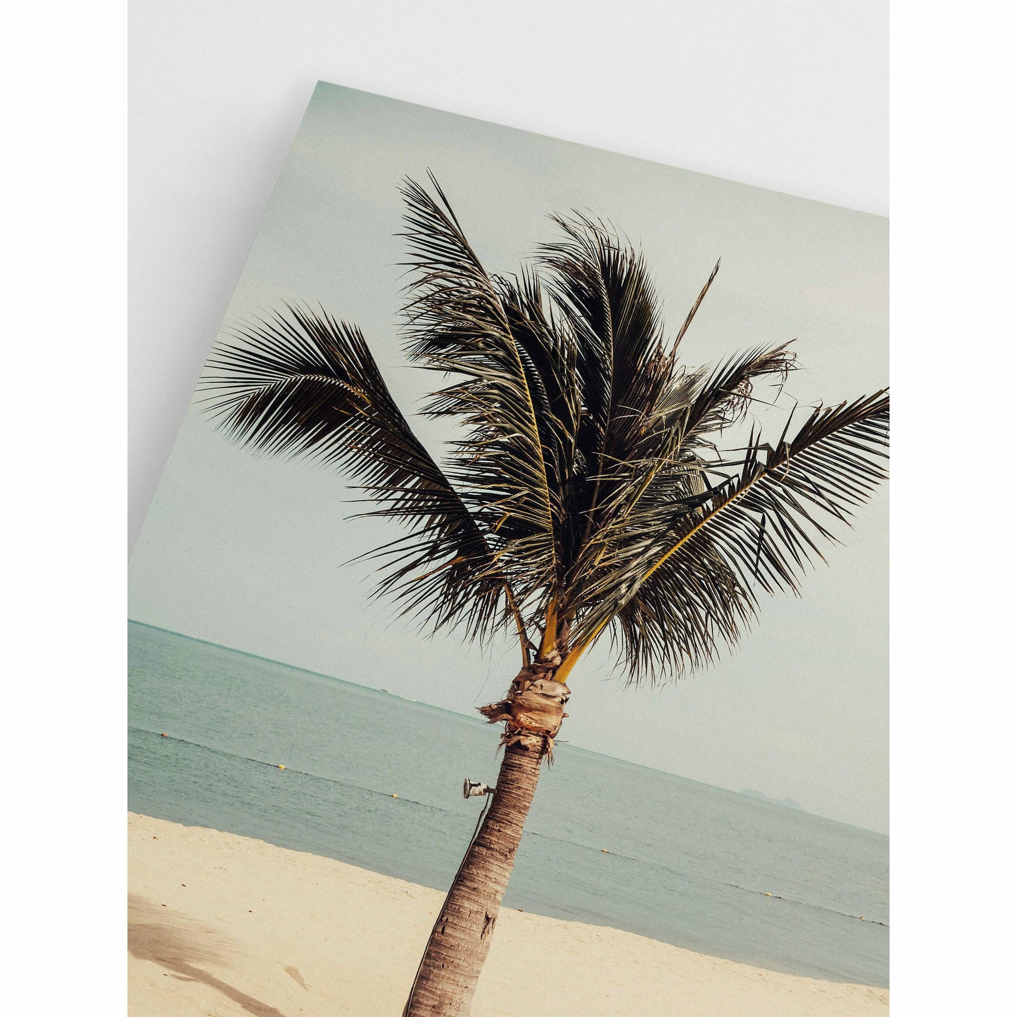 Palm Tree Office Wall Art Poster