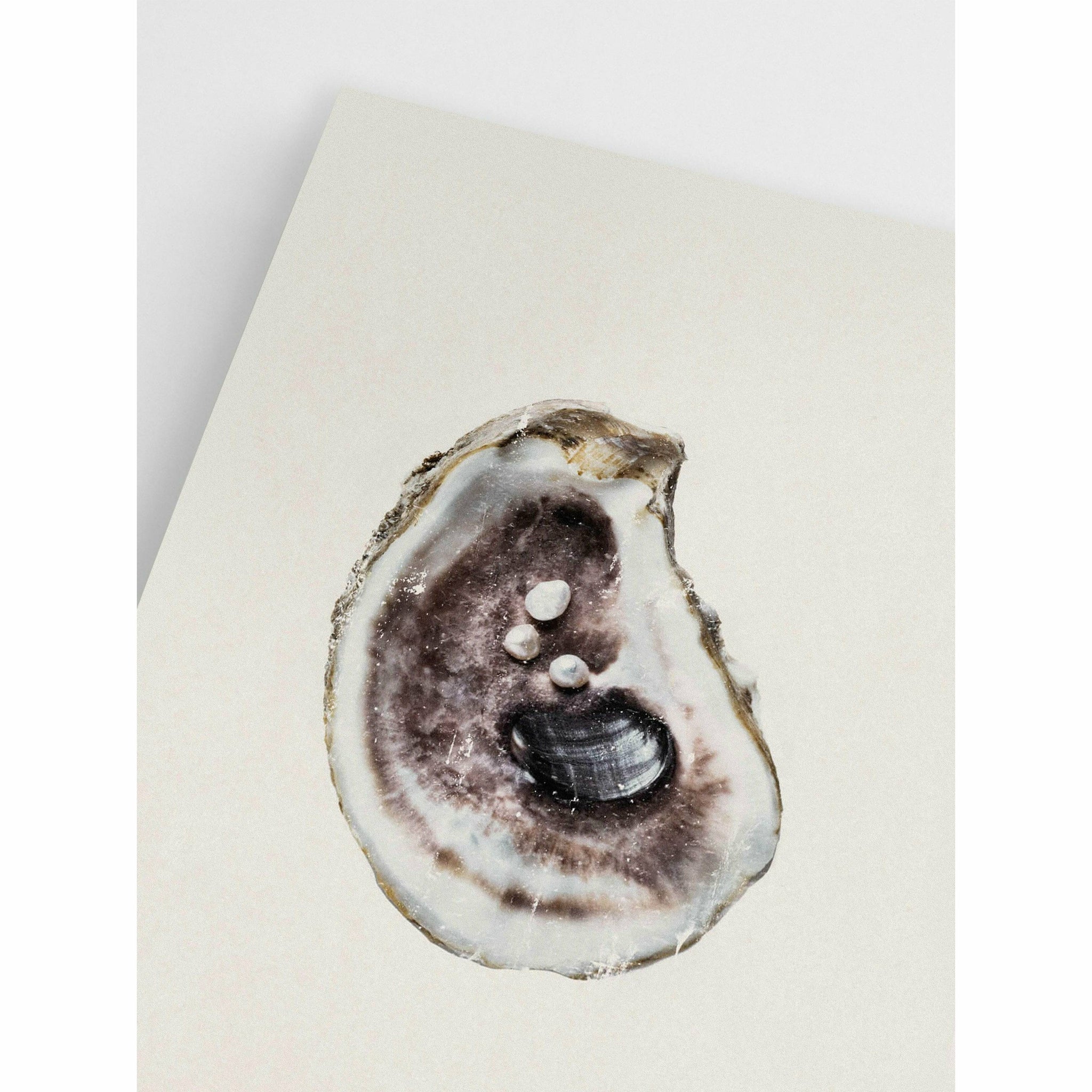 Oyster Poster