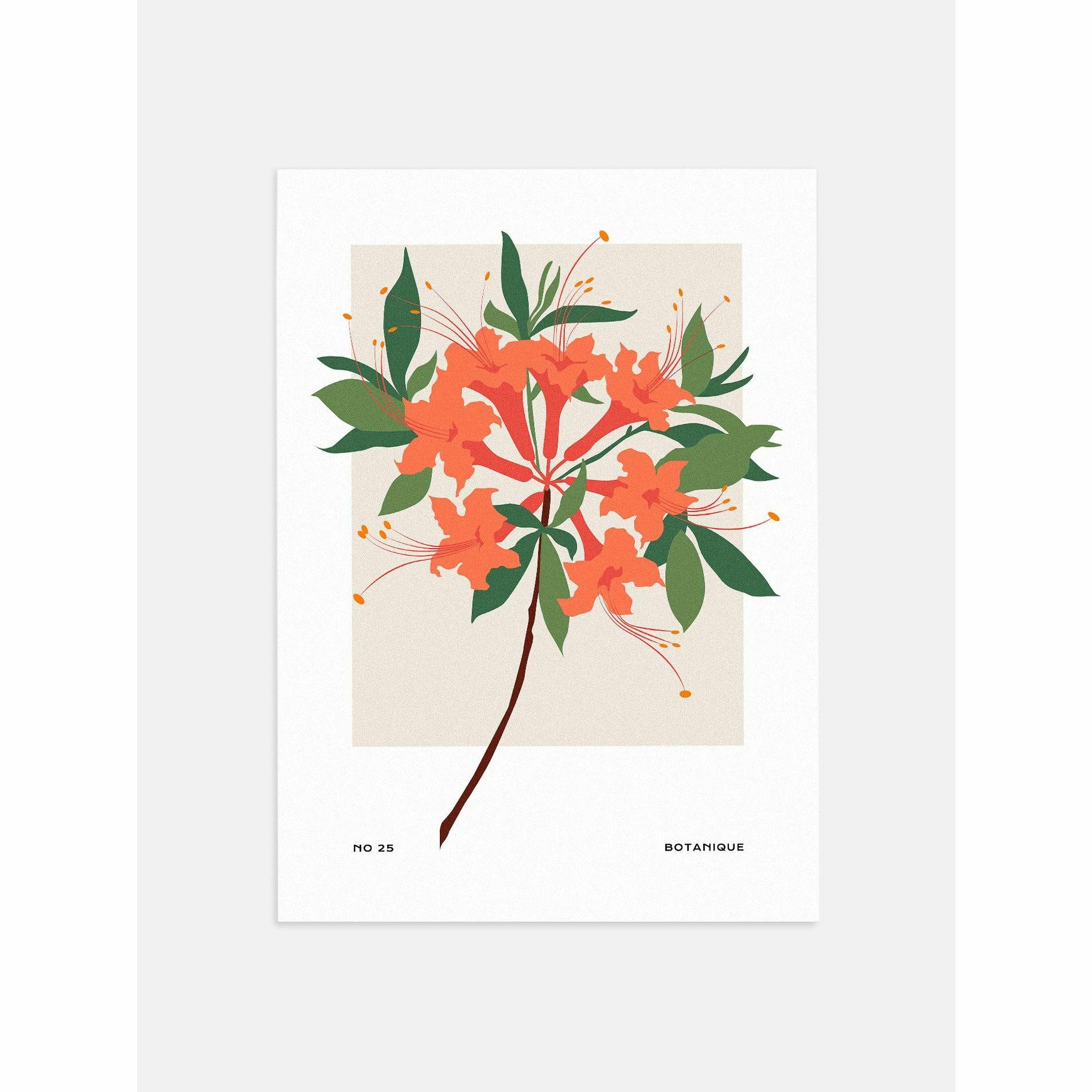 Azalea Poster for Room Decor