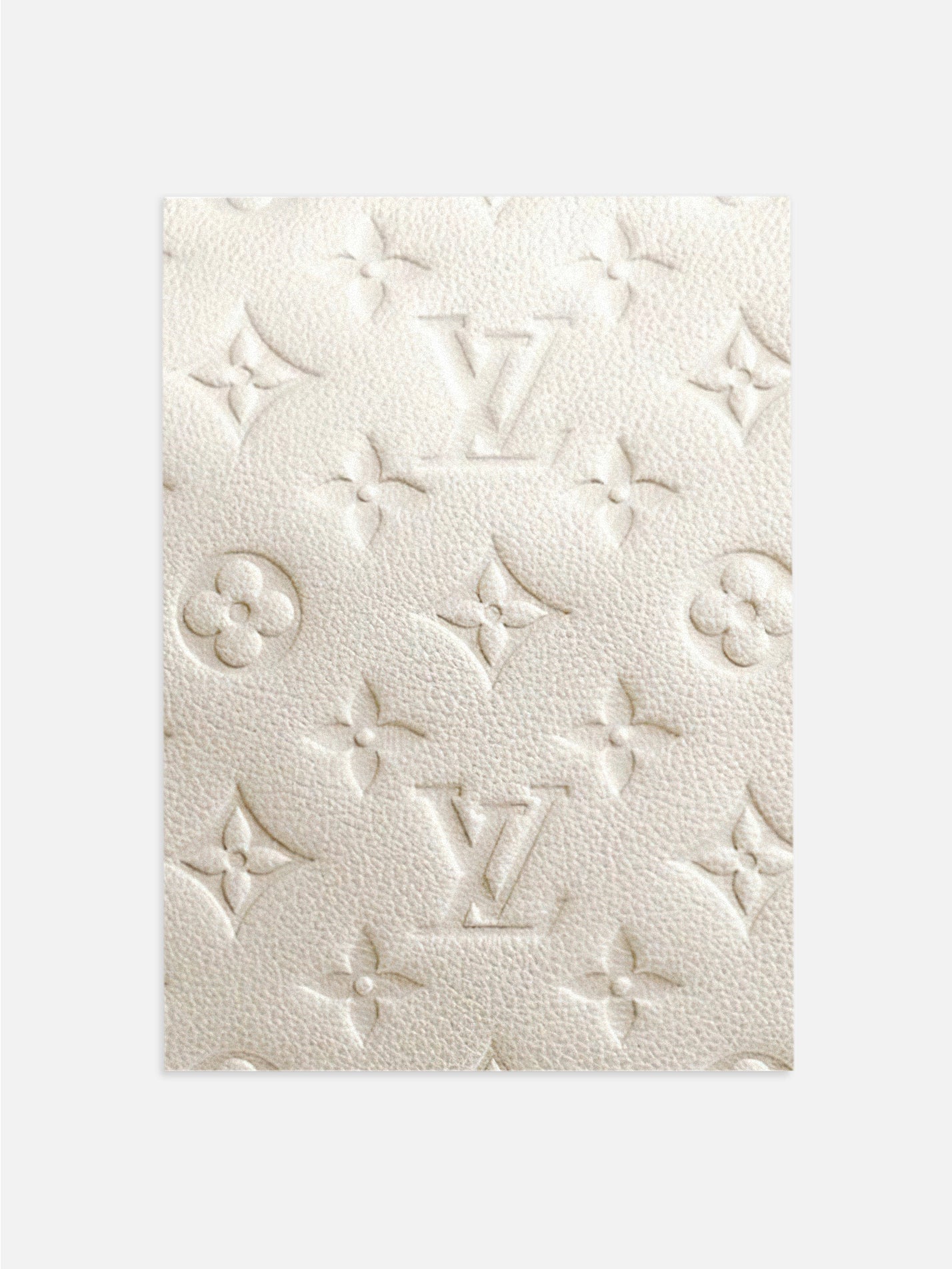 Louis Vuitton Leather