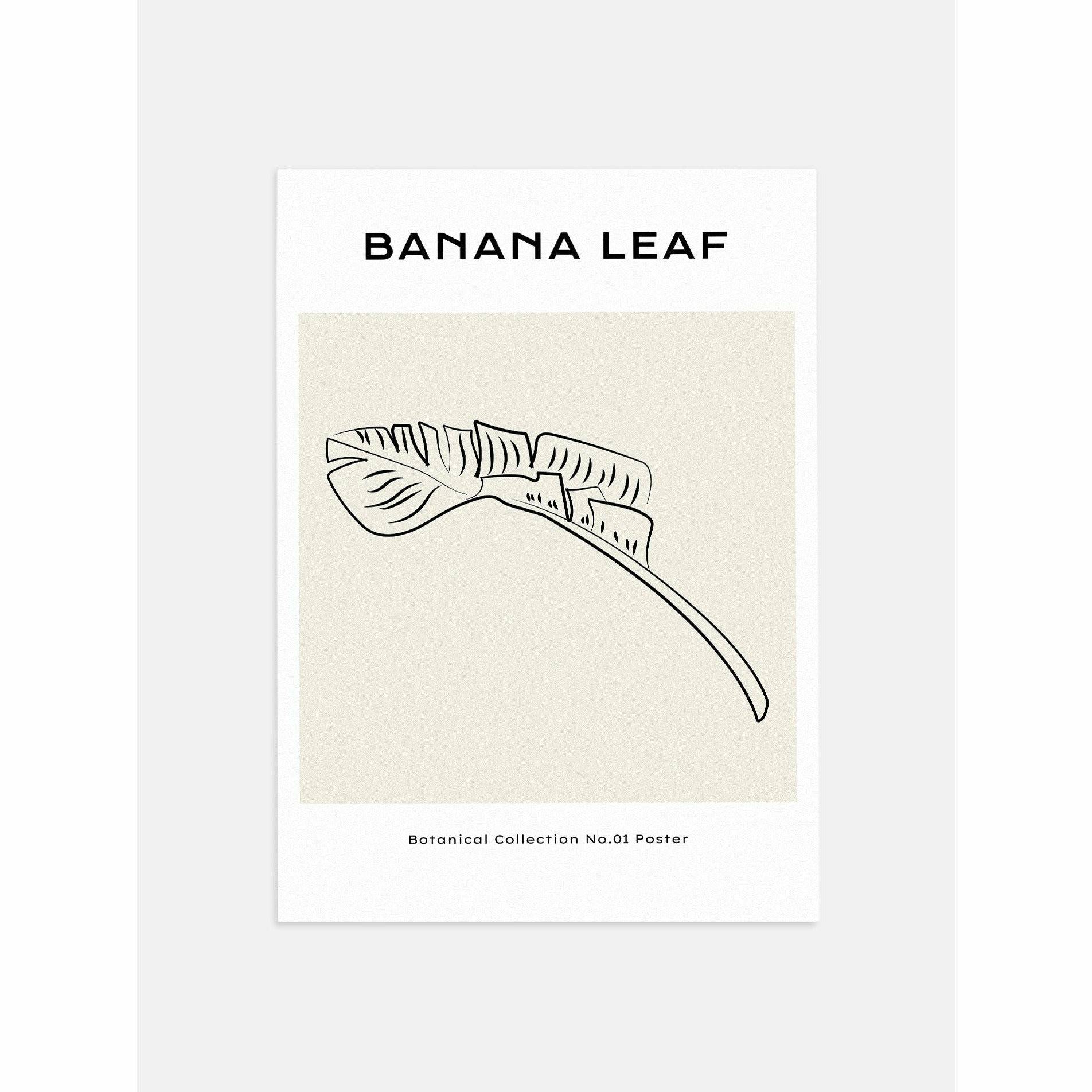 Banana Leaf Poster