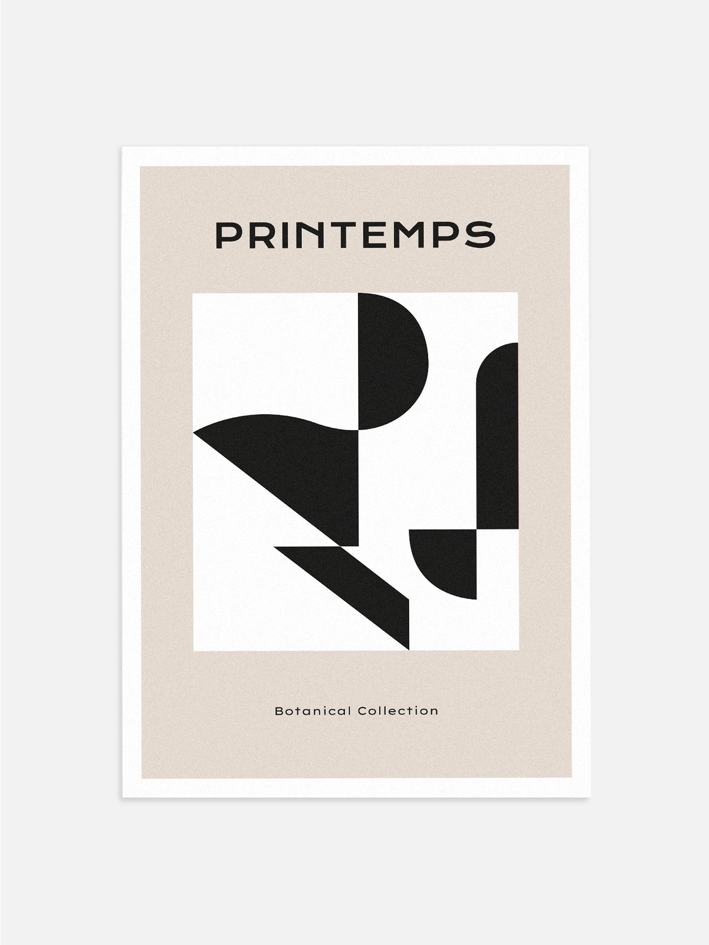 Printemps Abstract Shapes