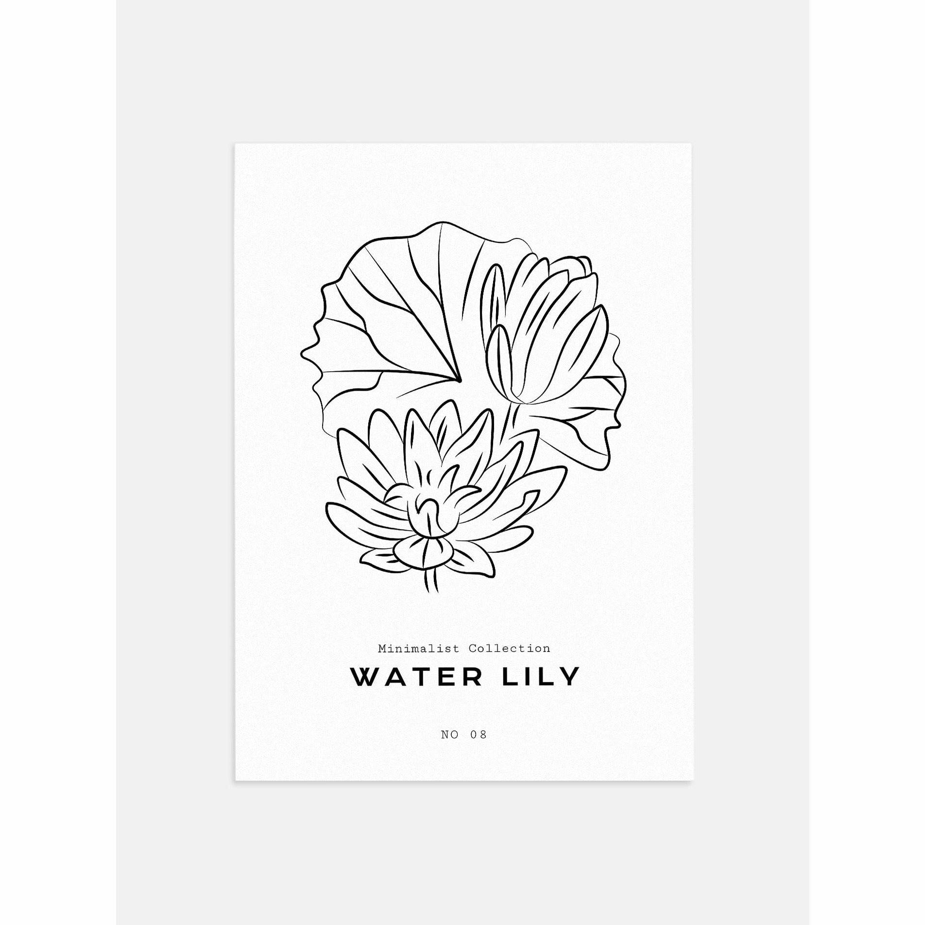 Minimalist Water Lily Poster