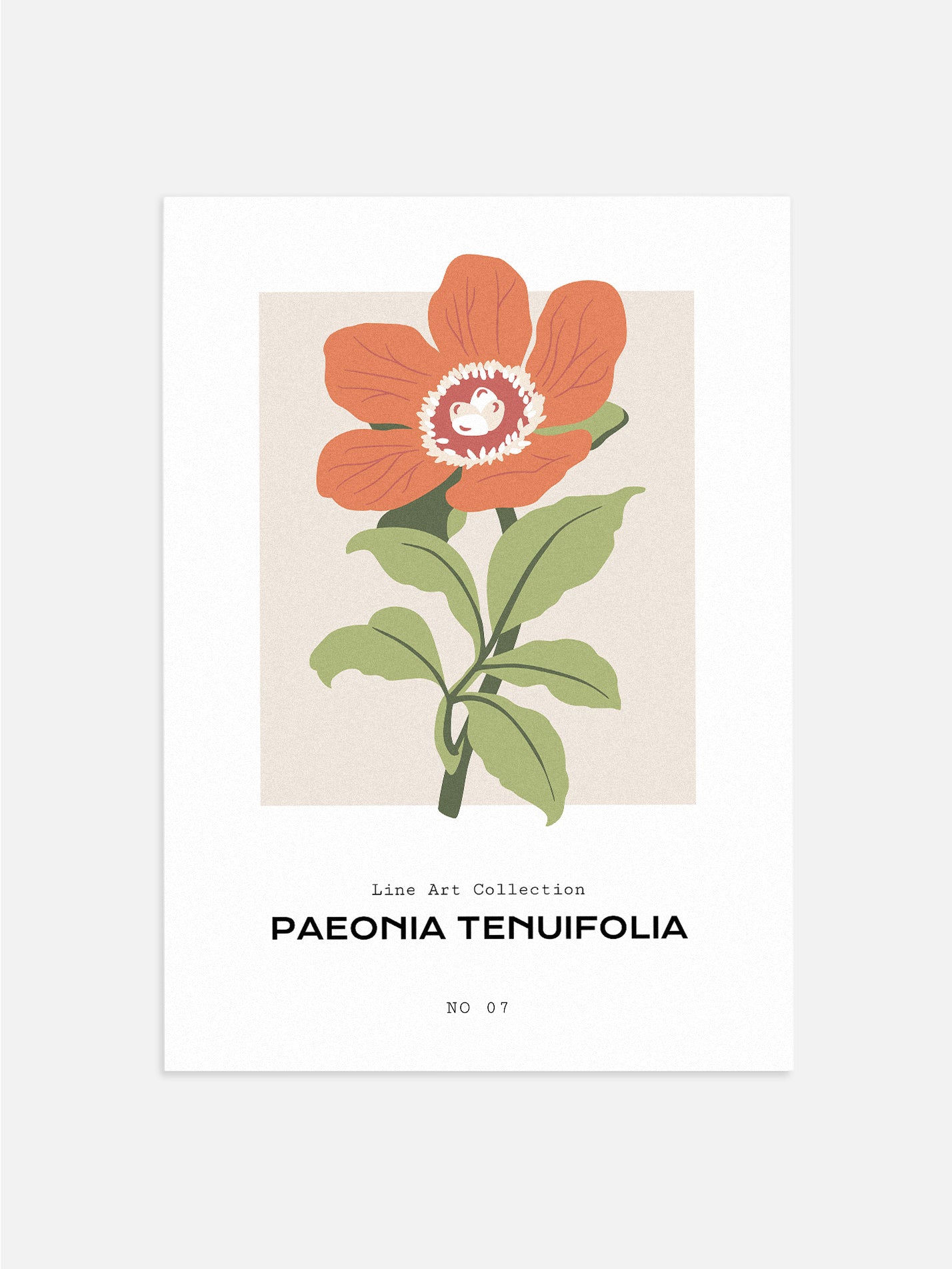 Paeonia Tenuifolia Artwork