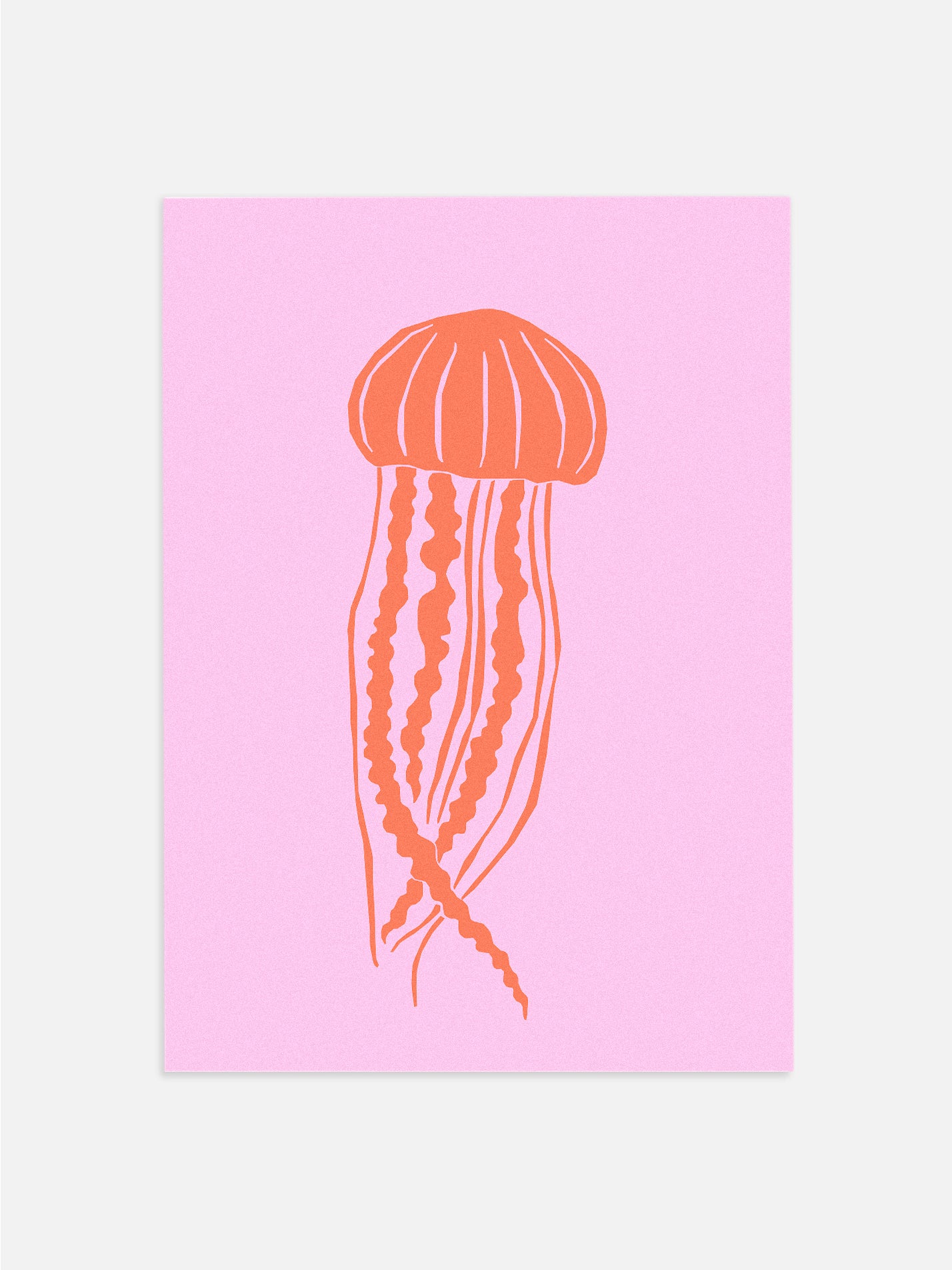 Ocean Life: Jellyfish