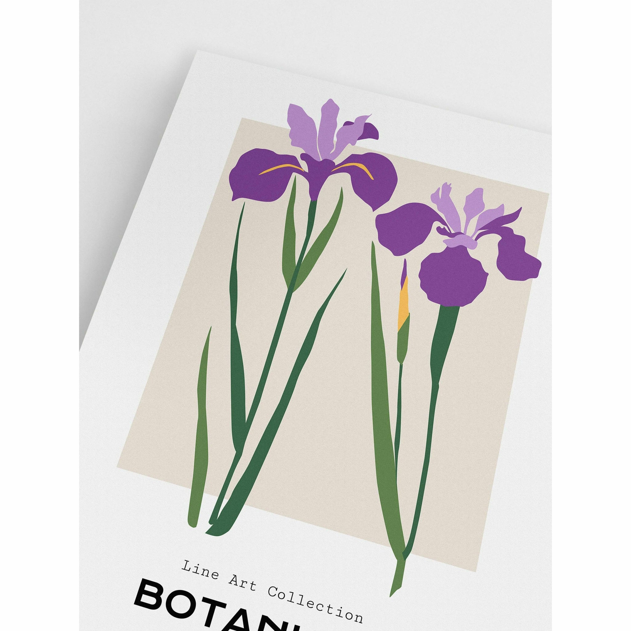 Hydrangea Botanique Poster for Room Decor
