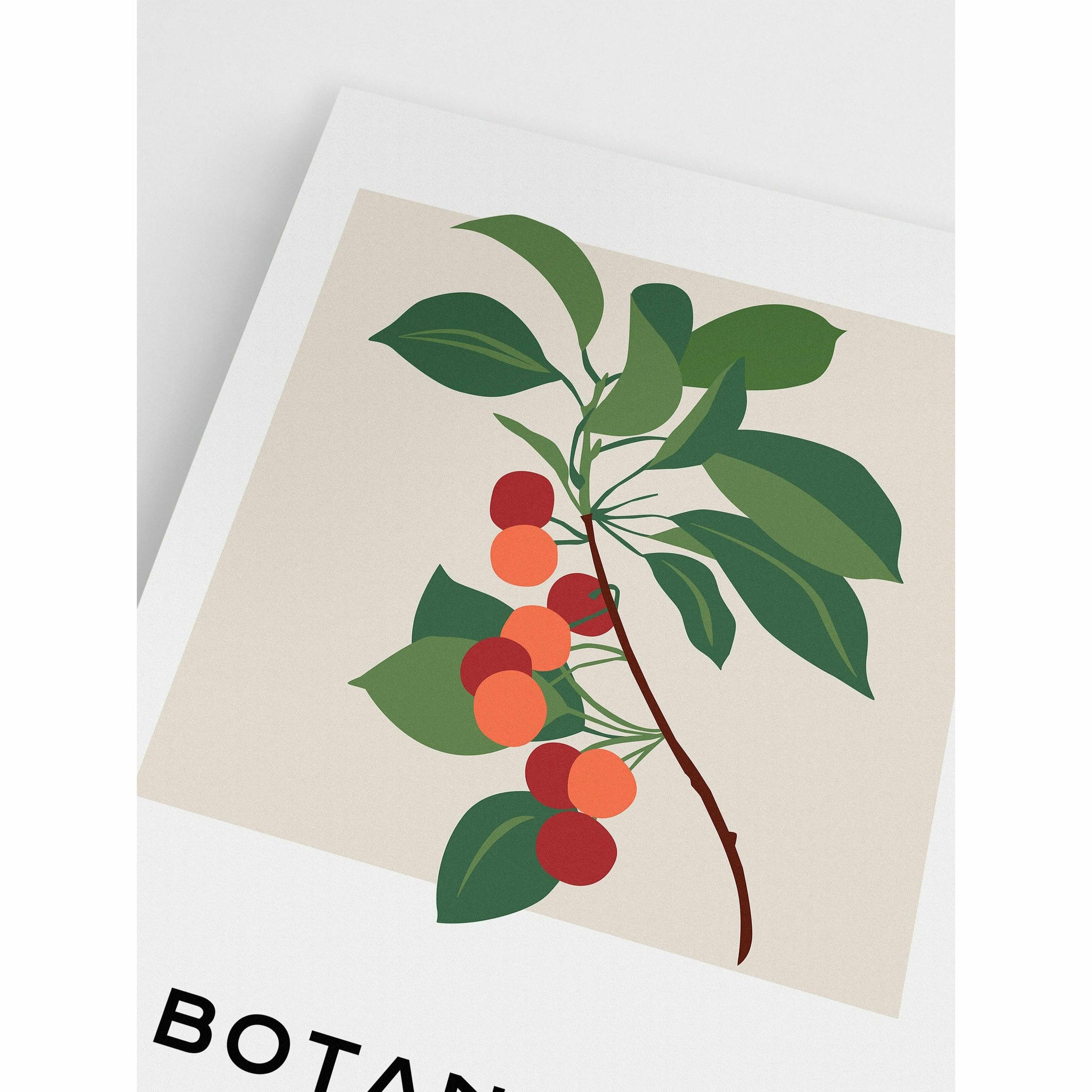 Botanical Cherry Wall Art