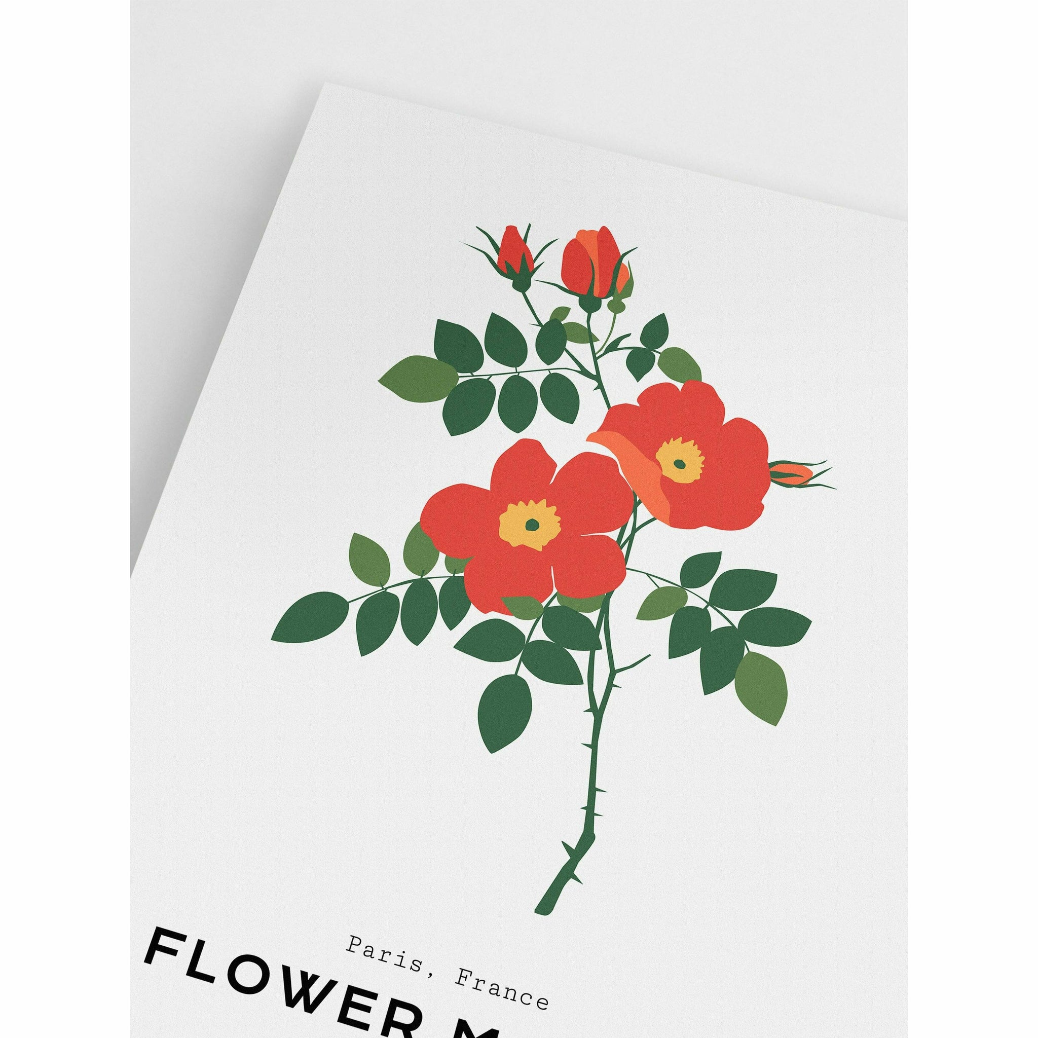 Hibiscus Poster Wall Art