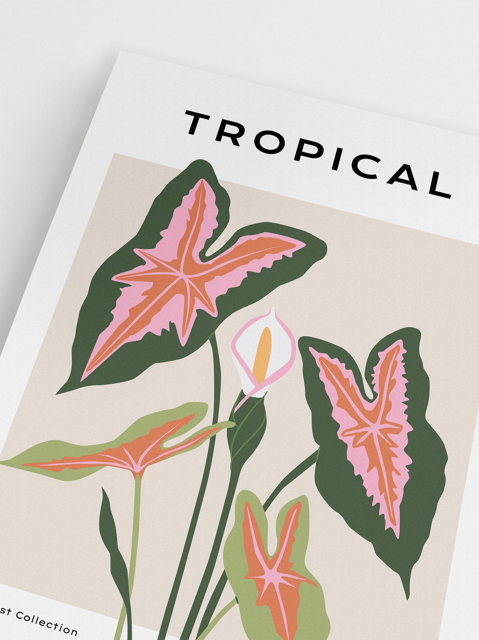 Pink & Green Tropical Poster