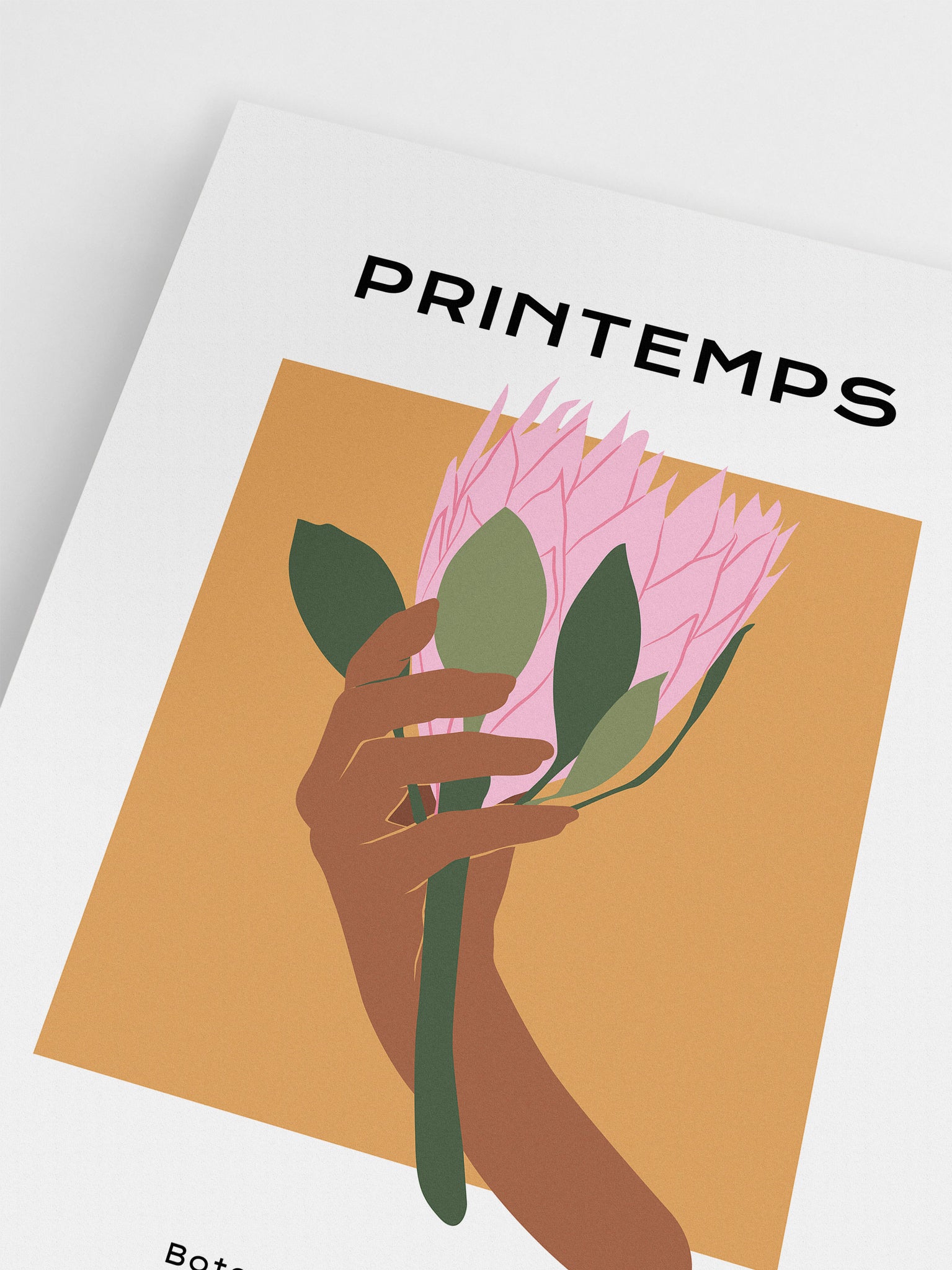 Pink Protea Flower Wall Art