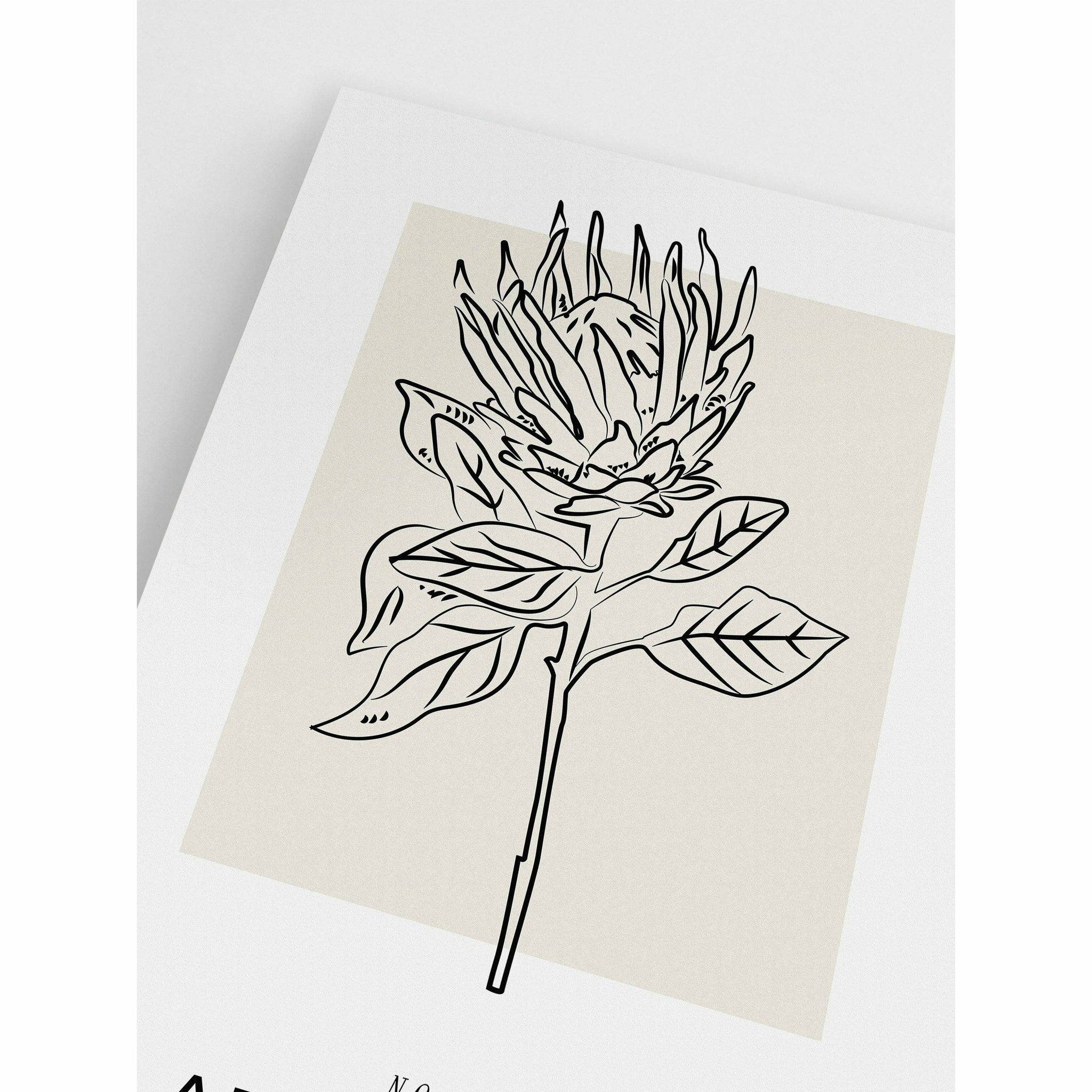 Protea Tropical Poster