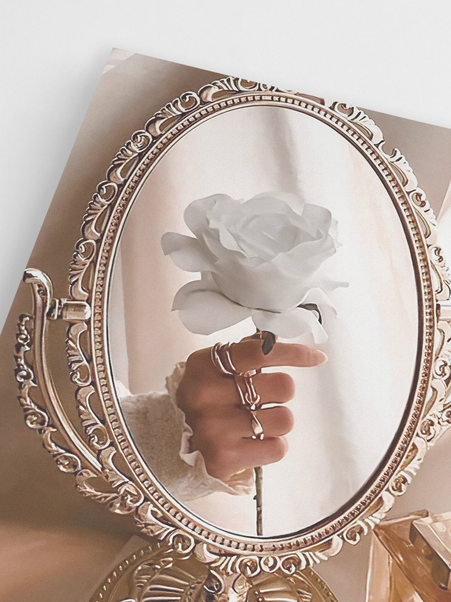 White Rose Reflection