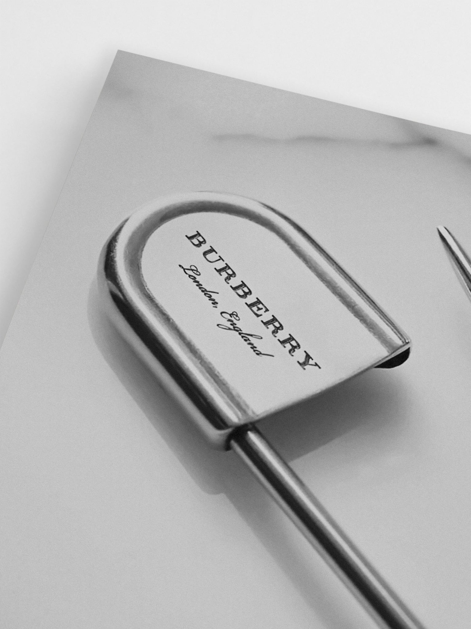Burberry Safety Pin wall  art