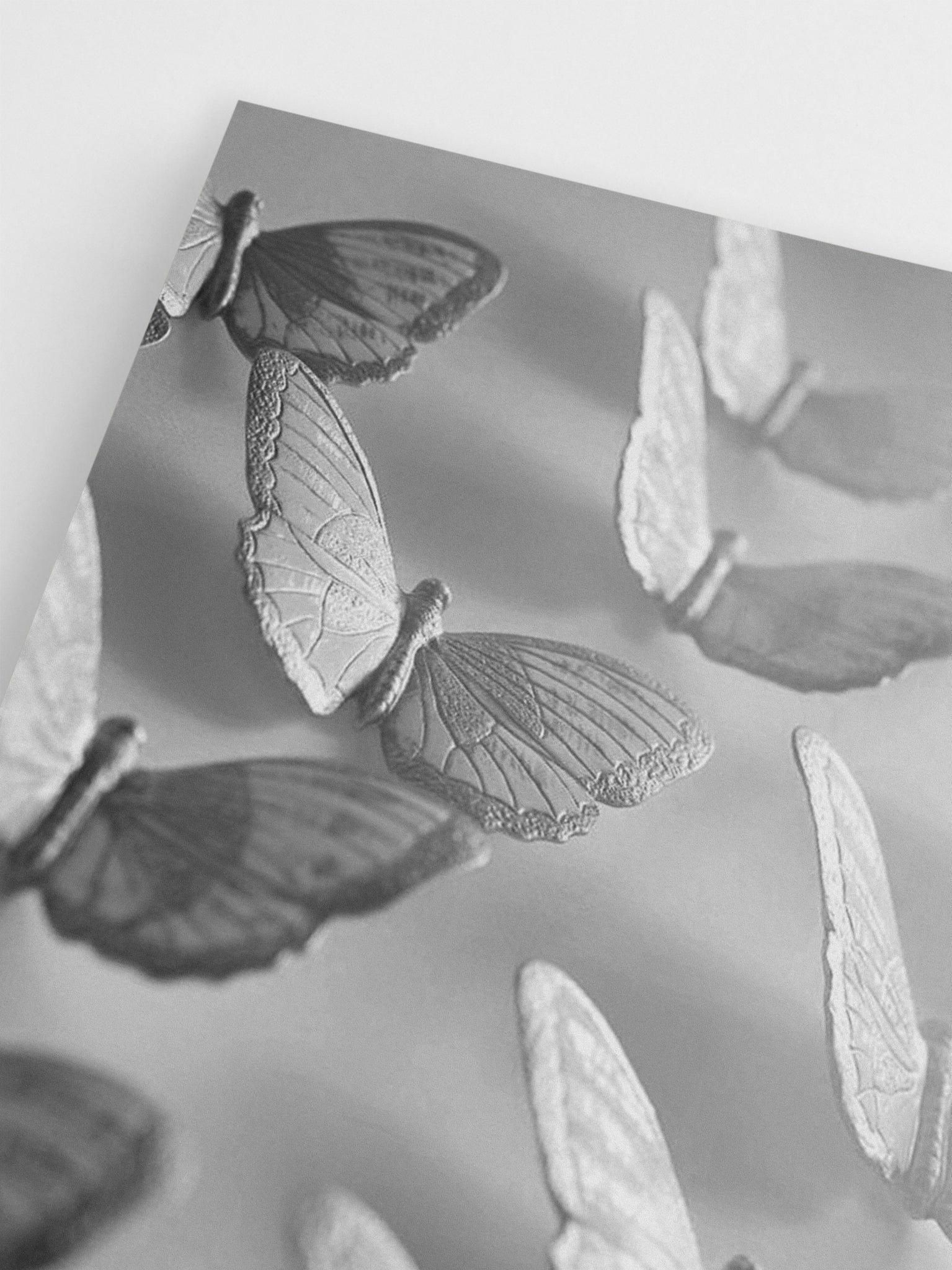 Black & White Butterflies wall art