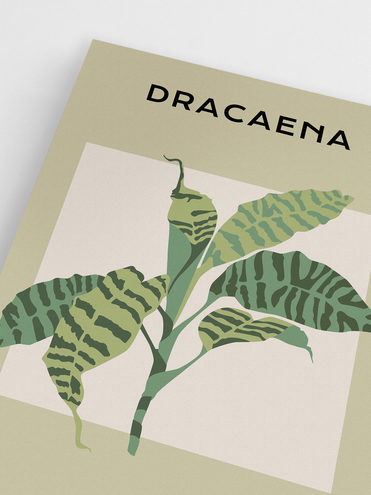 Dracaena Bedroom Artwork