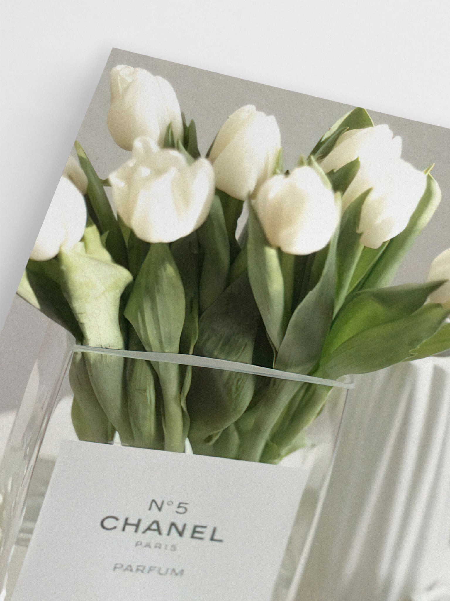 Tulips in Chanel Vase Poster