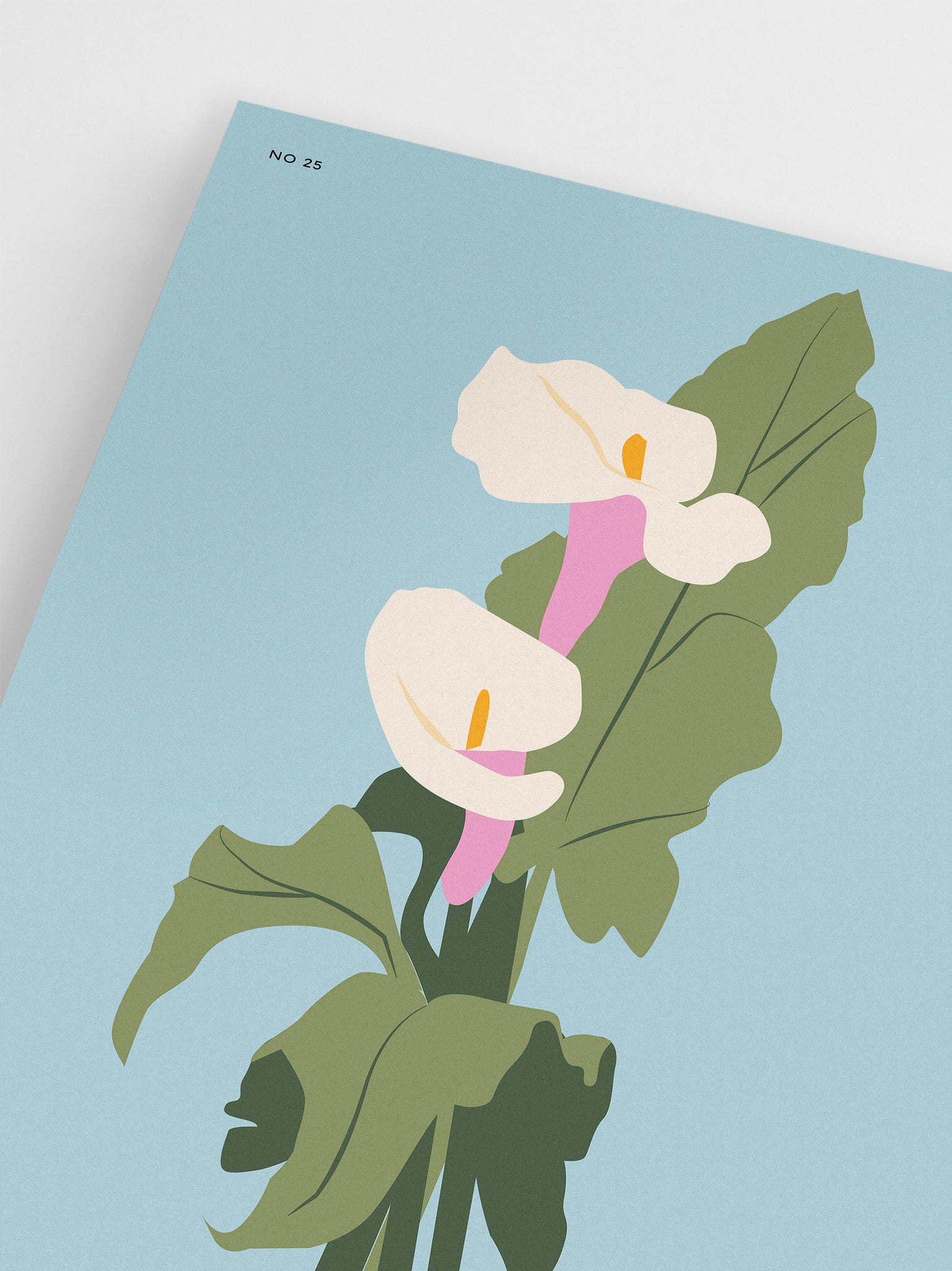 Calla Lily Print 