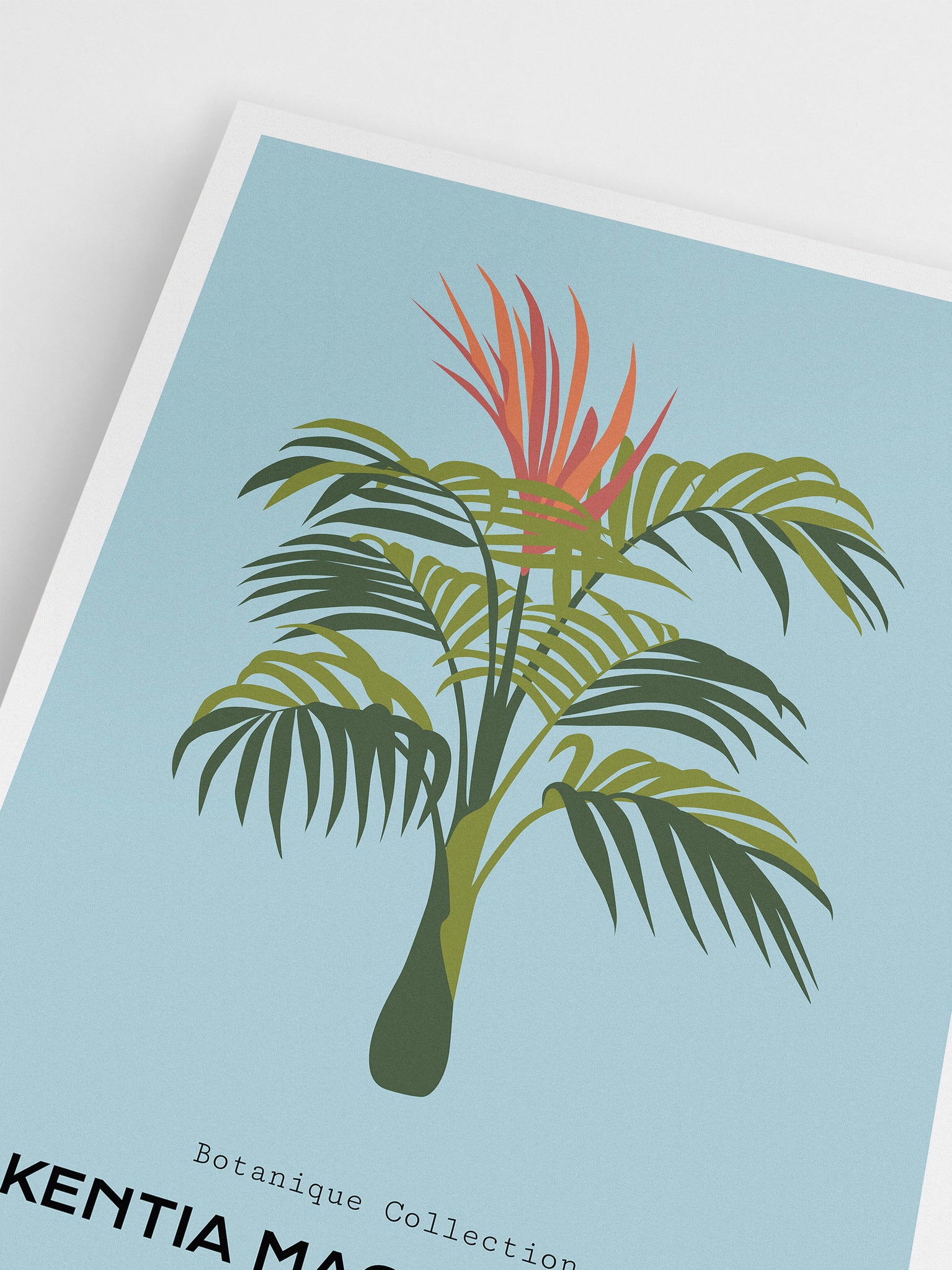 Palm Tree Illustration poster