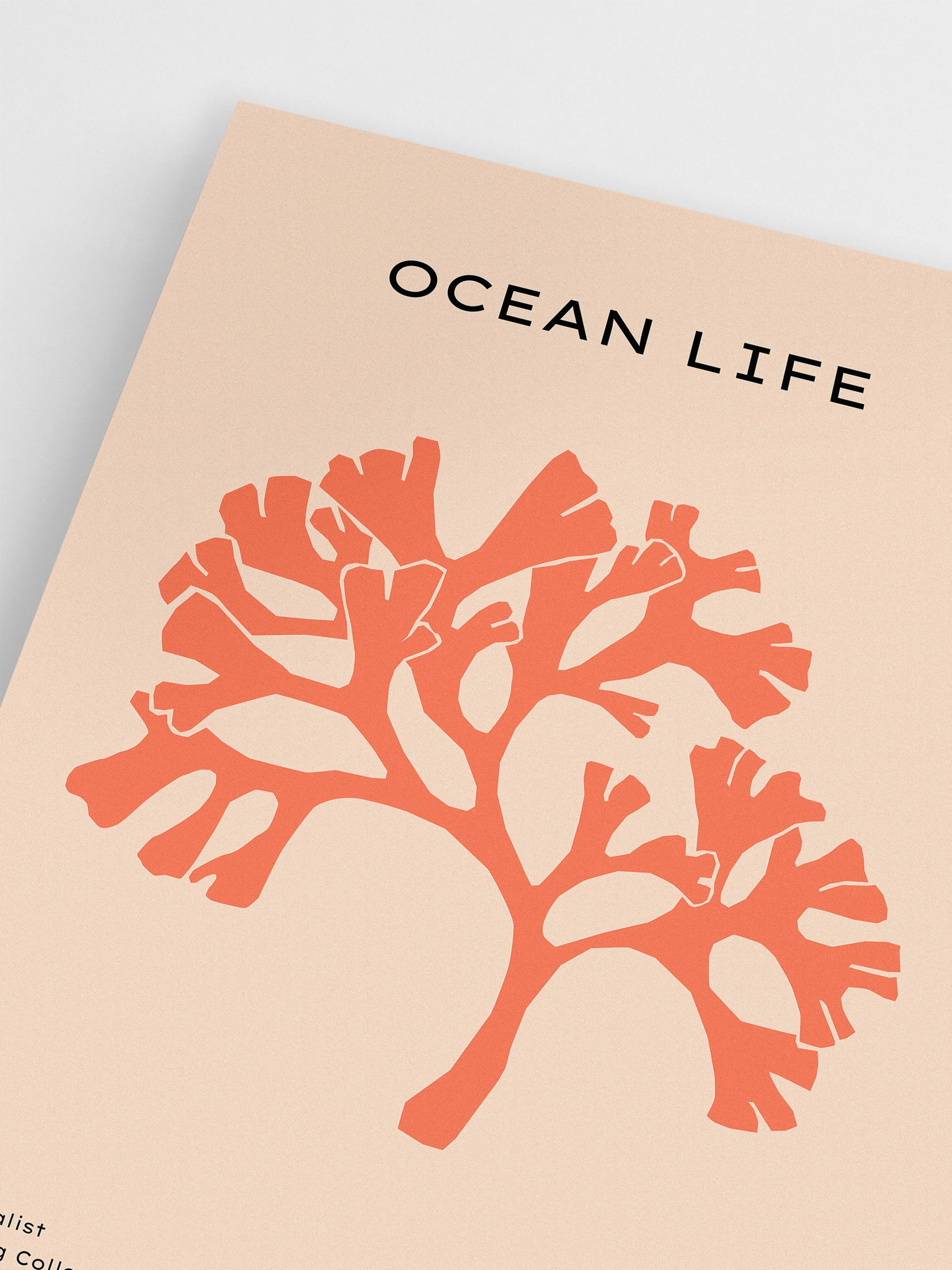 Orange & Peach Coral Wall Art