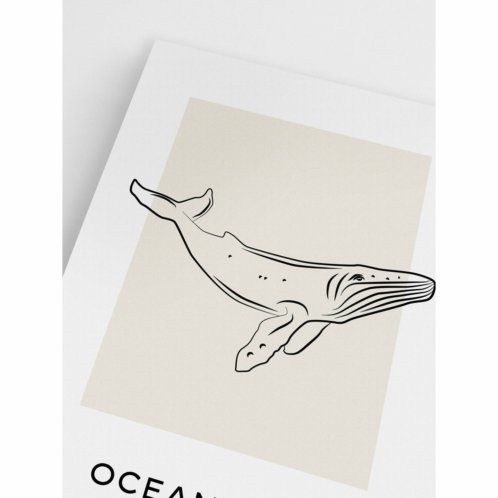 Ocean Life Whale Poster