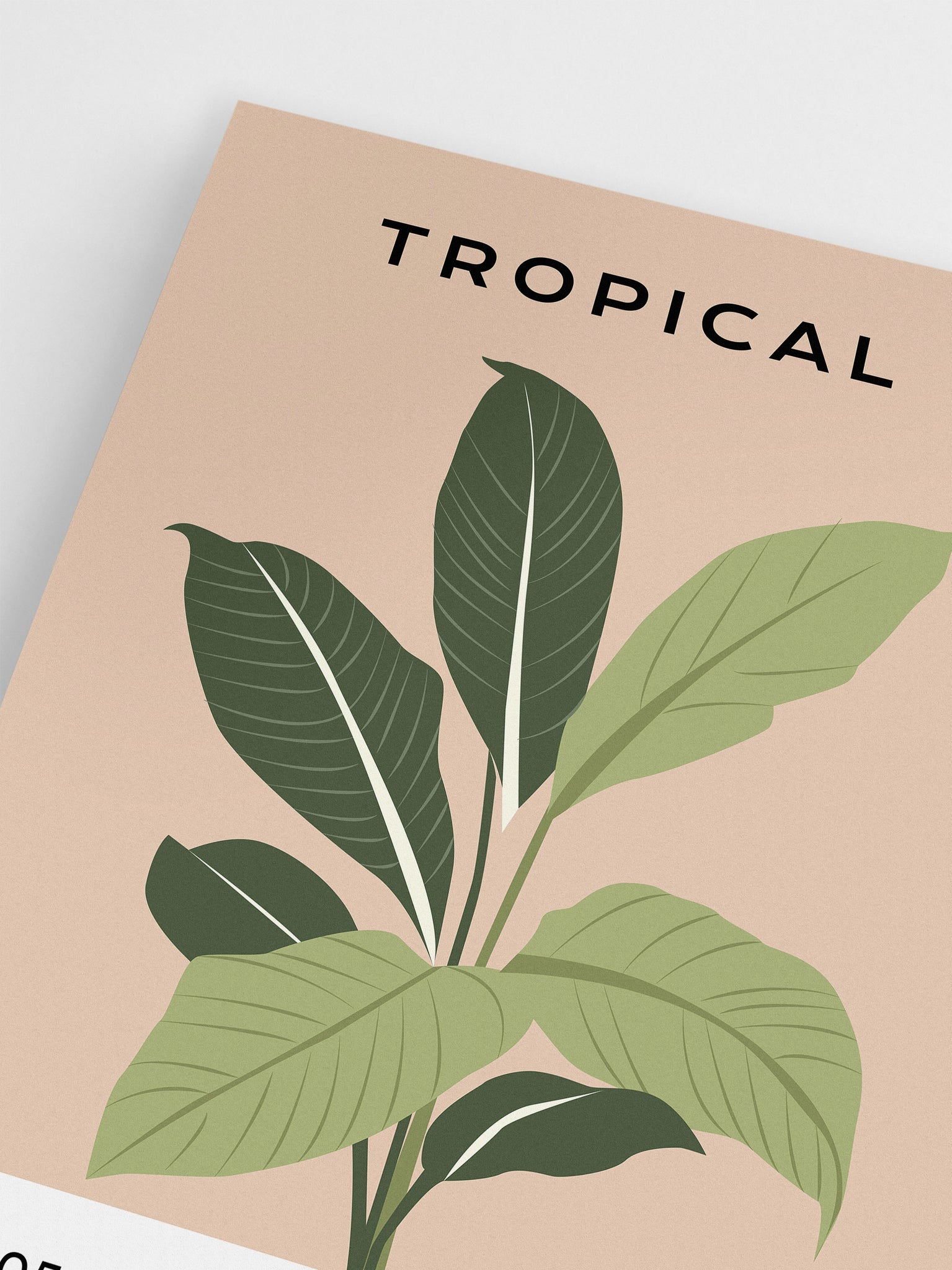 Tropical Palm Wall Art