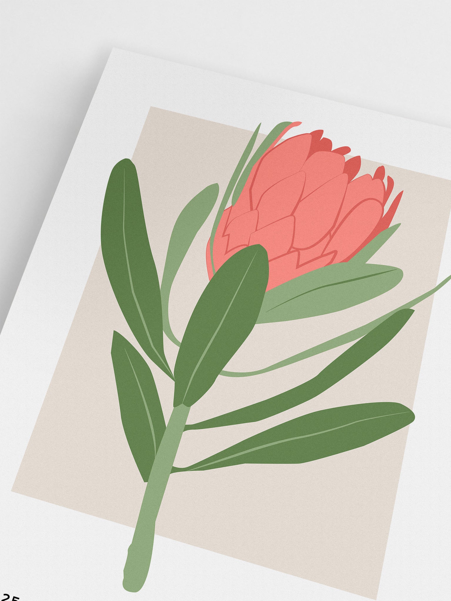 Coral Protea Print