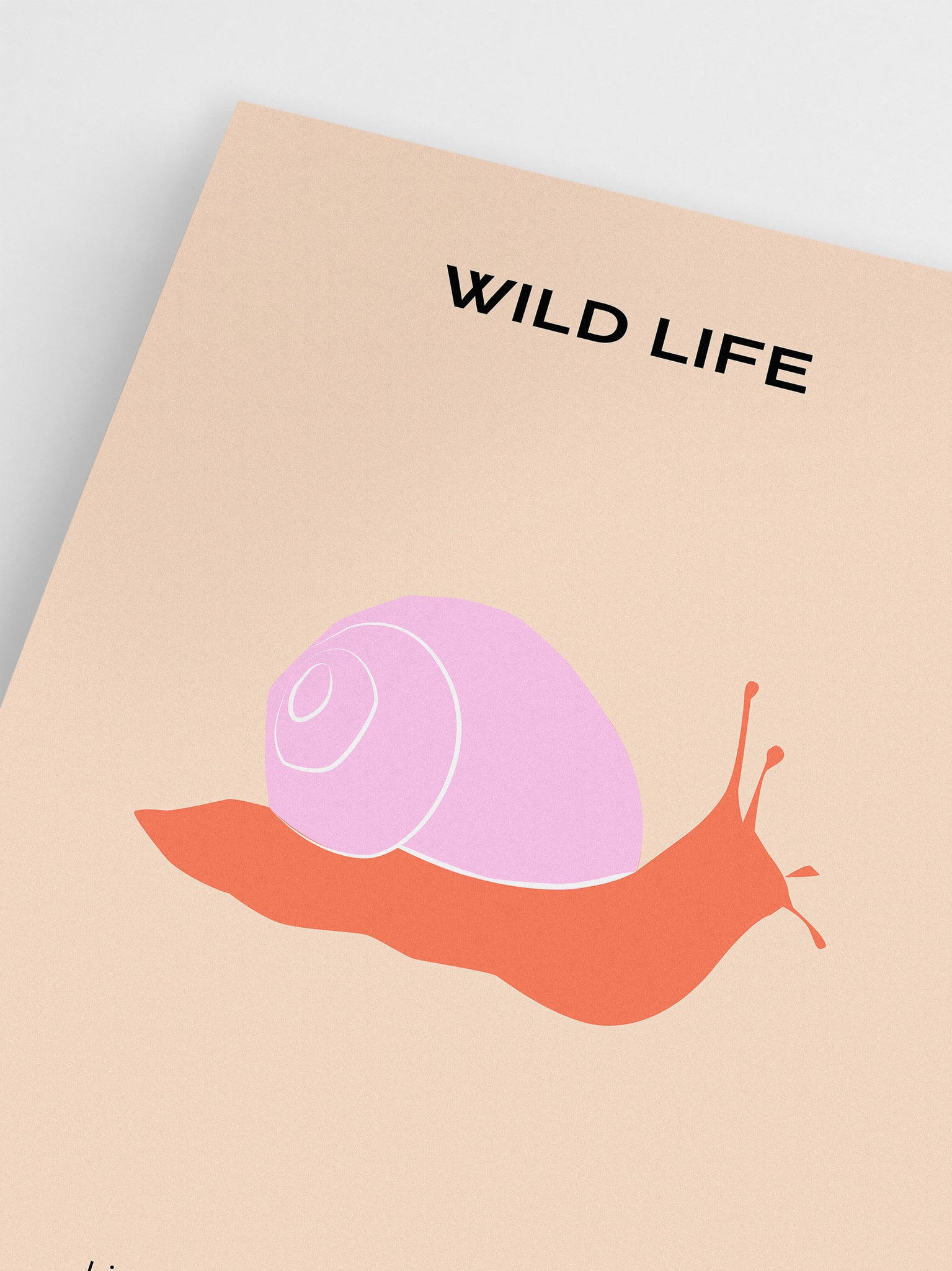 Wild Life: Snail Poster
