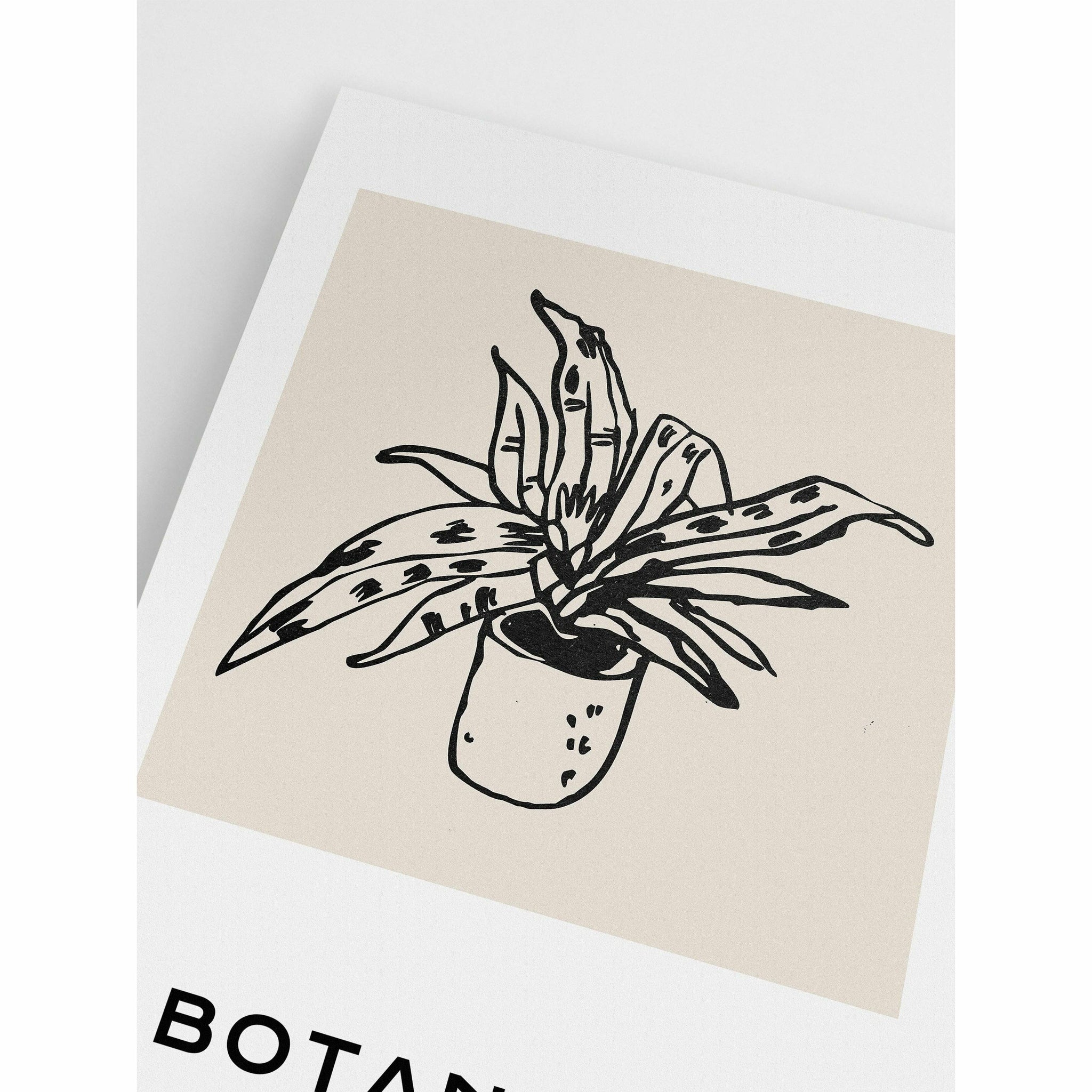 Botanique Houseplant Poster