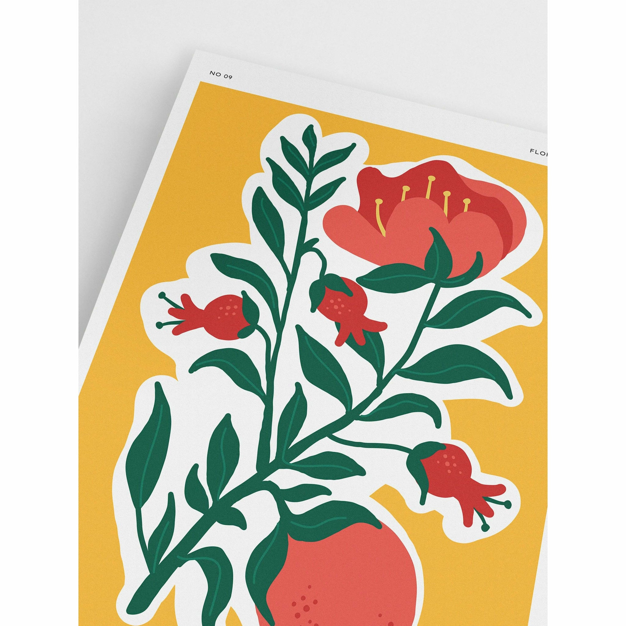 Pomegranate Floral Poster
